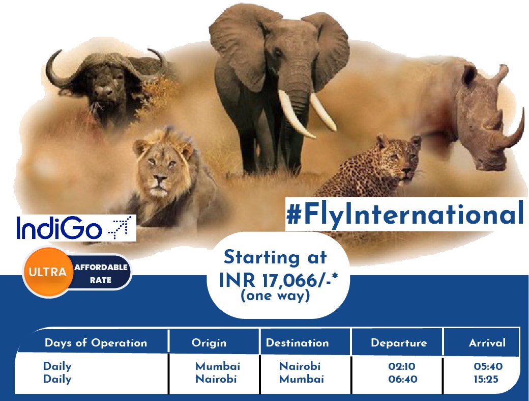 Indigo international